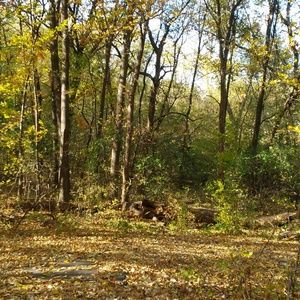 Meet your Posher, Nelly